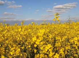 PV ASSEMBLEE GENERALE 2025