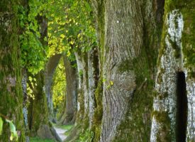 Du sang neuf dans le comité directeur