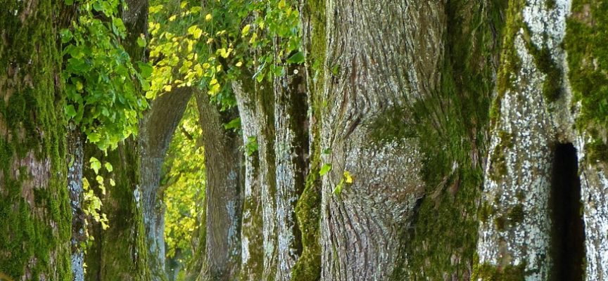 Du sang neuf dans le comité directeur