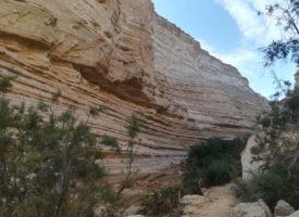 Pessah et Pâques: le Seder et la Cène