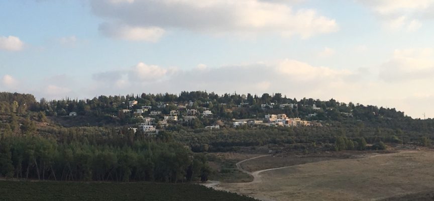 Nouvelles du village de Neve Shalom / Wahat as-Salam