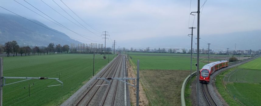 Edito – Janvier 2025 – Revue 204  : Chemins de liberté