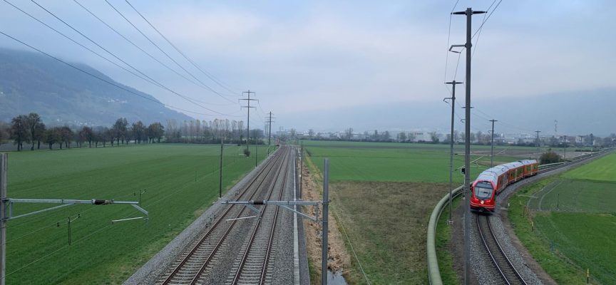 Edito – Janvier 2025 – Revue 204  : Chemins de liberté