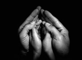 Association AMAM. Actions pour le Liban