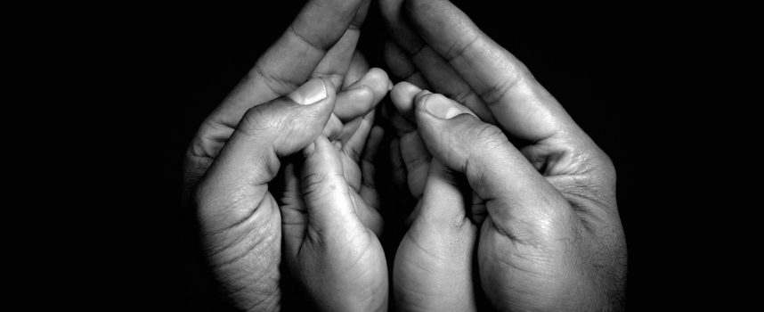 Association AMAM. Actions pour le Liban