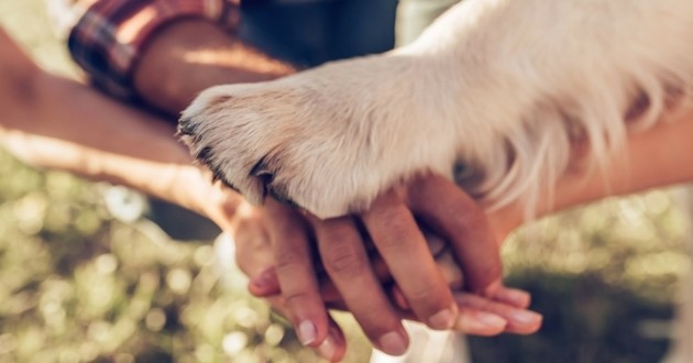 Conférence interreligieuse sur « L’humain et l’animal »